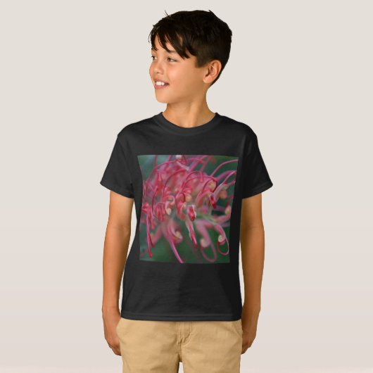 スーベリーグレビラマクロ Tシャツ (正面フル)