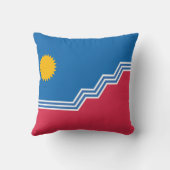 スー秋州旗（サウスダコタ） クッション (裏面)