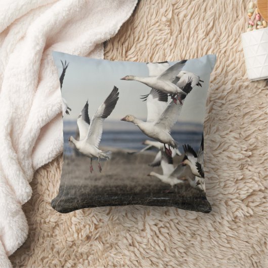 ス飛んでいるノーガチョウ クッション (ブランケット)