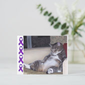 ズもしボンかブラジャーが…フィブロ認識度 ポストカード (スタンド正面)