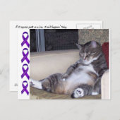 ズもしボンかブラジャーが…フィブロ認識度 ポストカード (正面/裏面)