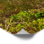 ズオ転がークプリント ポスター (角)