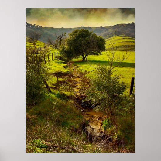 ズオ転がークプリント ポスター (正面)