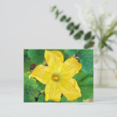 ズッキーニの花 ポストカード (スタンド正面)