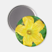 ズッキーニ花 マグネット (正面/裏面)