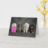 ズボンの…種類の重要 カード (黄色い花)