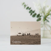 ズマビーチ葉書 ポストカード (スタンド正面)