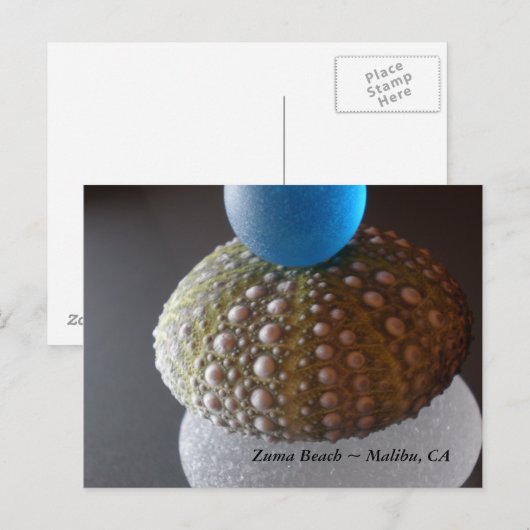 ズマビーチ ポストカード (正面/裏面)