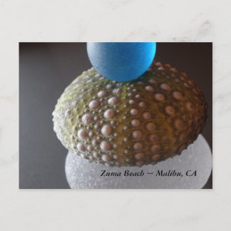 ズマビーチ ポストカード