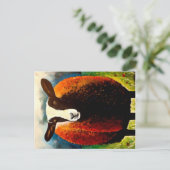 ズワーツブル ポストカード (スタンド正面)