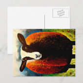 ズワーツブル ポストカード (正面/裏面)