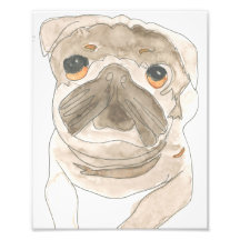 ズーズアッププリント