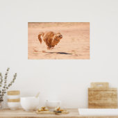 ズーム子猫 ポスター (キッチン)