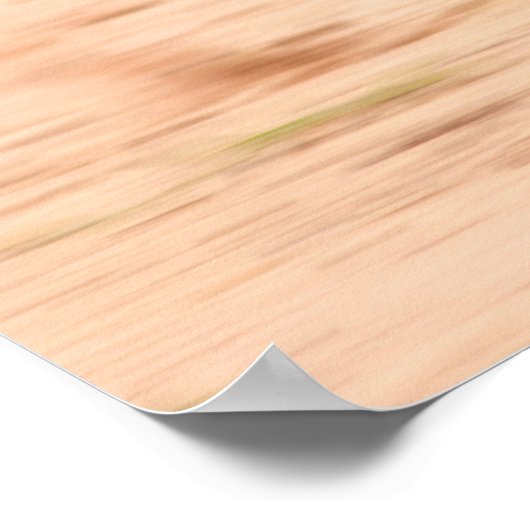 ズーム子猫 ポスター (角)