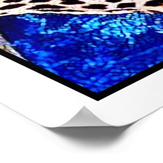 ズールウォリアーとその女王: ポスター (角)