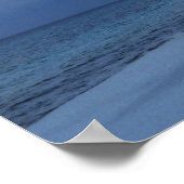 セアグロブ ポスター (角)