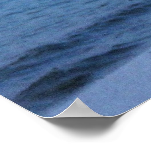 セアグロブ ポスター (角)