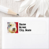 セアリハムテリアカラーブロック ラベル (インサイチュ)