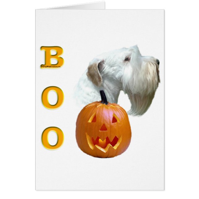 セアリハムテリアーブー (正面)