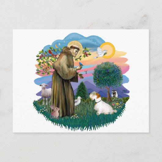 セアリハムテリア ポストカード (正面)