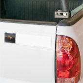 セイウチのバンパーステッカー バンパーステッカー (トラック上)