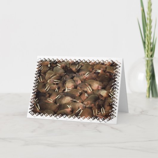 セイウチの挨拶状 カード (正面)