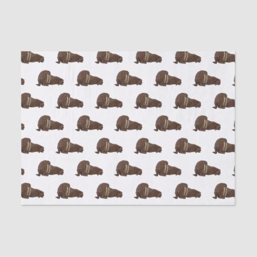 セイウチの漫画イラストレーション 薄葉紙 (正面)