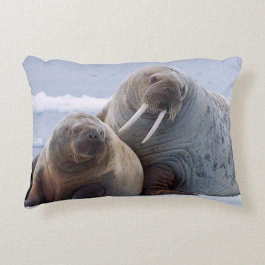 セイウチの牛と子牛は海氷床に残る アクセントクッション (正面)