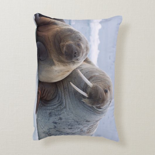 セイウチの牛と子牛は海氷床に残る アクセントクッション (裏面(縦))