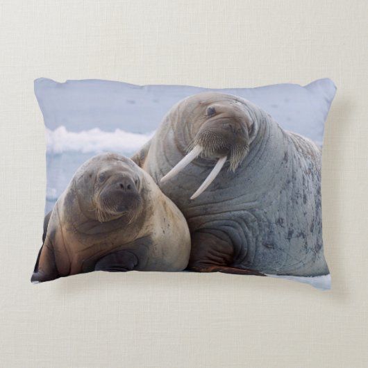 セイウチの牛と子牛は海氷床に残る アクセントクッション (裏面)