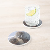 セイウチの牛と子牛は海氷床に残る コースター (側面)