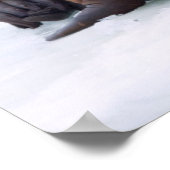 セイウチの牛と子牛は海氷床に残る ポスター (角)