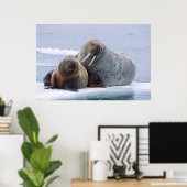 セイウチの牛と子牛は海氷床に残る ポスター (ホームオフィス)