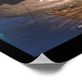 セイウチ目クローズドポスター ポスター (角)