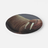 セイウチ ペーパープレート (アングル)