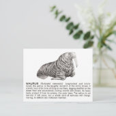 セイウチ ポストカード (スタンド正面)