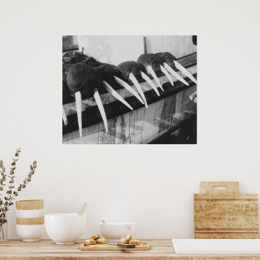 セイウチ: 1931年 ポスター (キッチン)