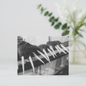 セイウチ: 1931年 ポストカード (スタンド正面)