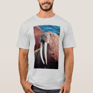 セイウチ Tシャツ
