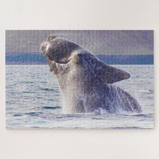 セイコウクジラ ジグソーパズル (横)