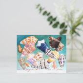 セイシェルの貝殻 ポストカード (スタンド正面)