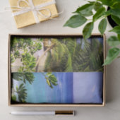 セイシェルトロピカルアイランドビーチ 薄葉紙 (ギフト)