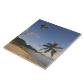 セイシェル、マヘ島、水平パーム、 タイル (側面)