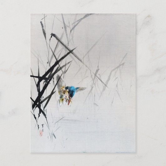 セイテイによる、スゲの間で魚を捕まえるカワセミ ポストカード (正面)