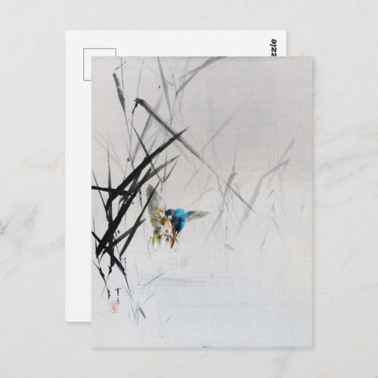 セイテイ島の葦に魚を捕まえるカワセミ ポストカード (正面/裏面)