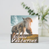 セイメインバレンティンミットシャウエンデンプフェルド (スタンド正面)