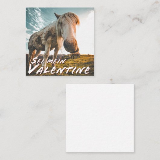 セイメインバレンティンミットシャウエンデンプフェルド ノートカード (正面/裏面)