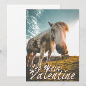 セイメインバレンティンミットシャウエンデンプフェルドV2.0 (正面/裏面)