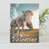 セイメインバレンティンミットシャウエンデンプフェルドV2.0 (スタンド正面)