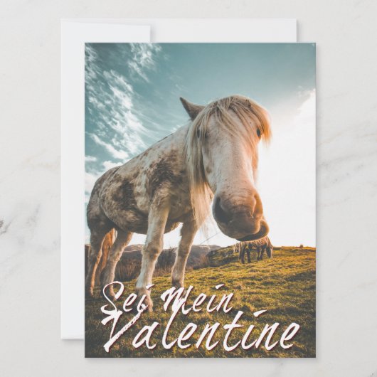 セイメインバレンティンミットシャウエンデンプフェルドV2.0 (正面)